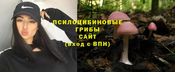 кристаллы Алзамай